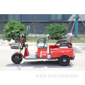 3 wheel fat big tire cargo electric tricycle